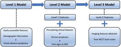 Automated Hierarchy Evaluation System of Large Vessel Occlusion in Acute Ischemia Stroke